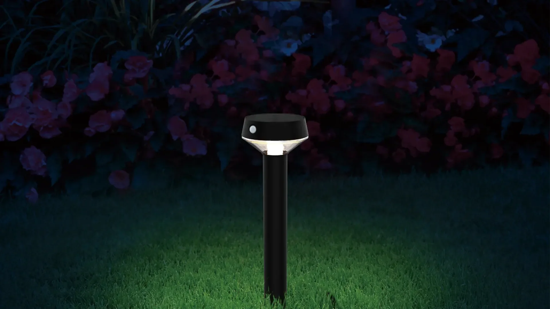 bg grass