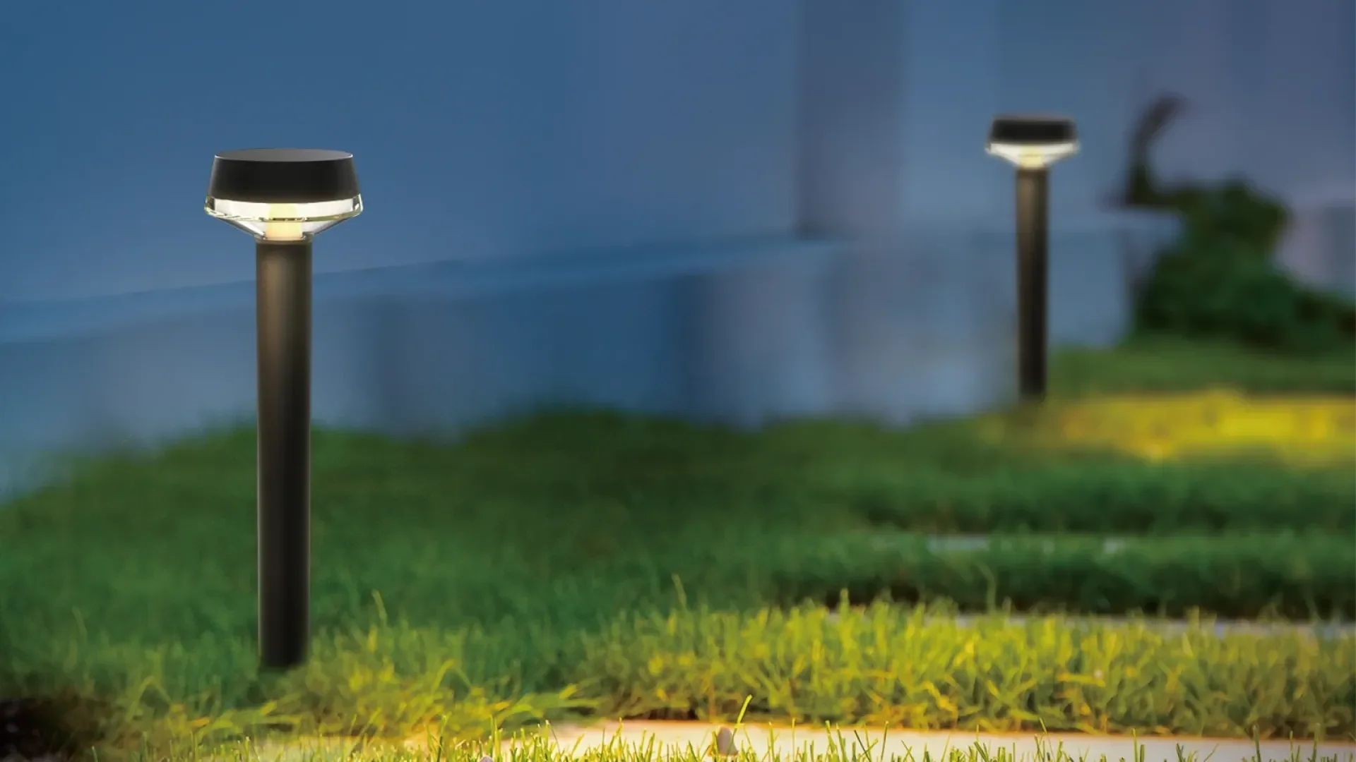 shine on grass