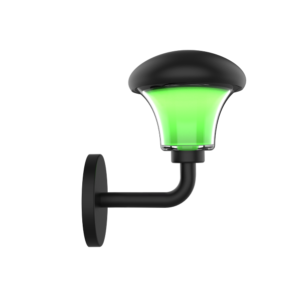 mushroom green side