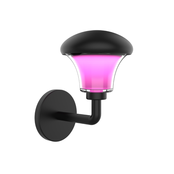mushroom pink side