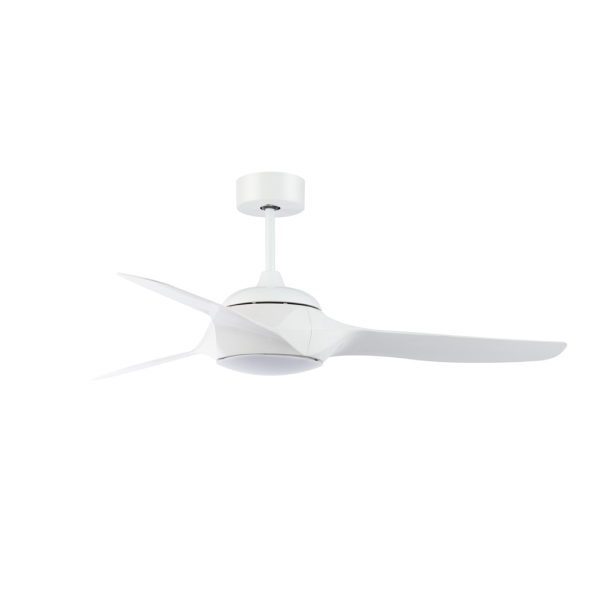 sharp white