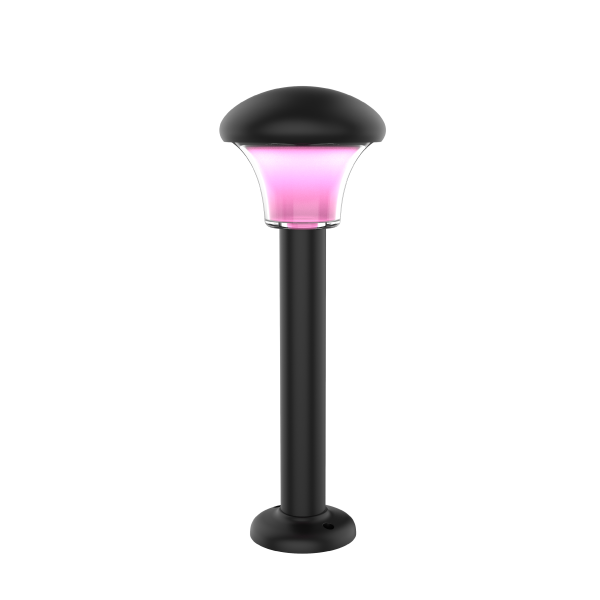 Dewdrop pink