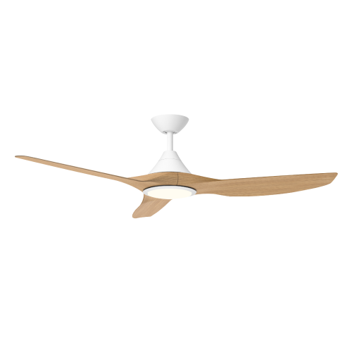 Cone